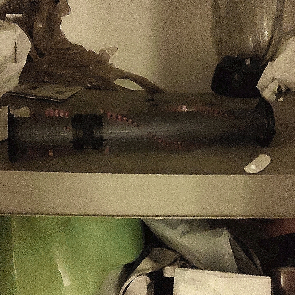 Dyson dc17 replacement brush roller